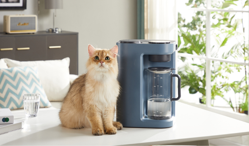 Cat standing next to bluevua ro water purifier