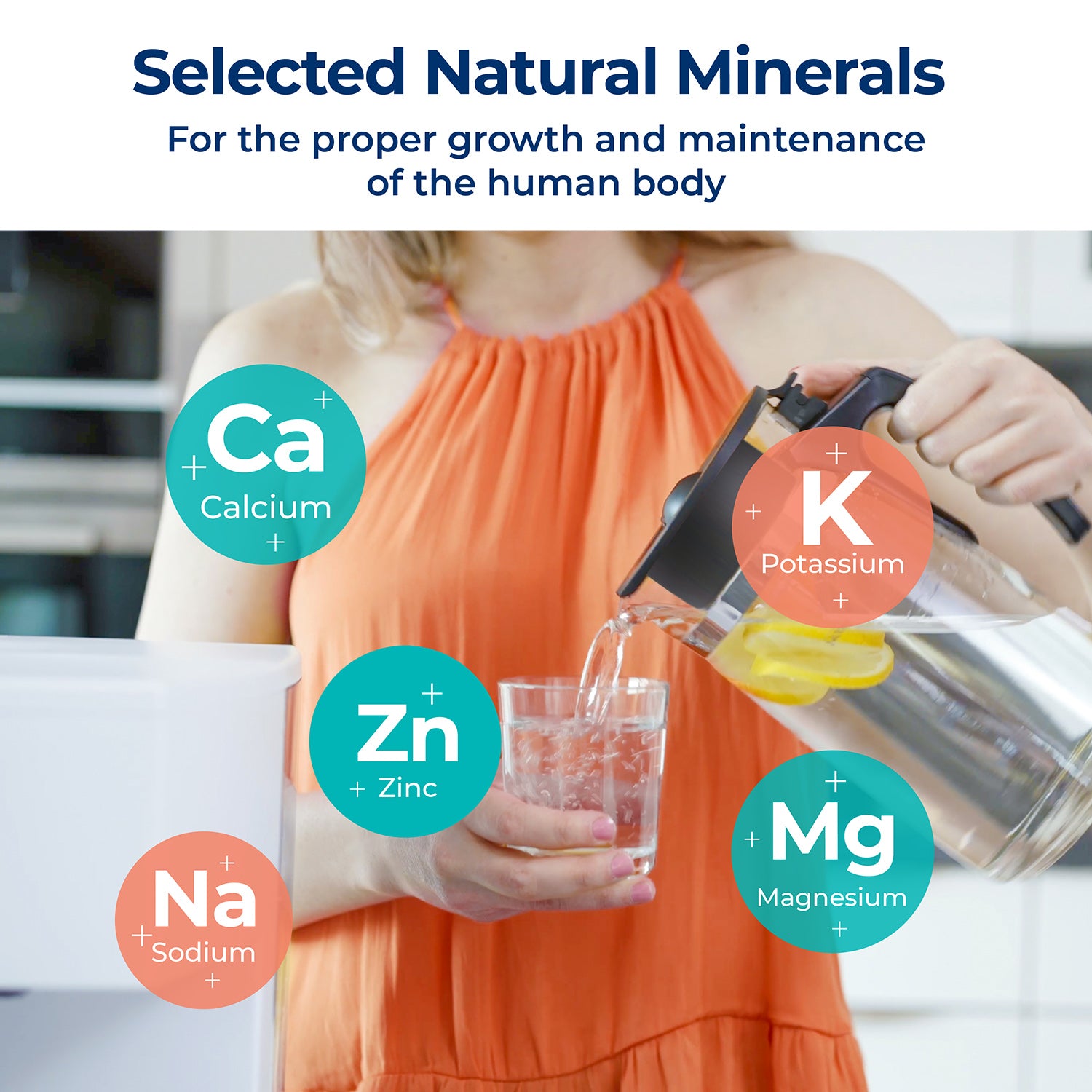 ROPOT Refresh Bundle