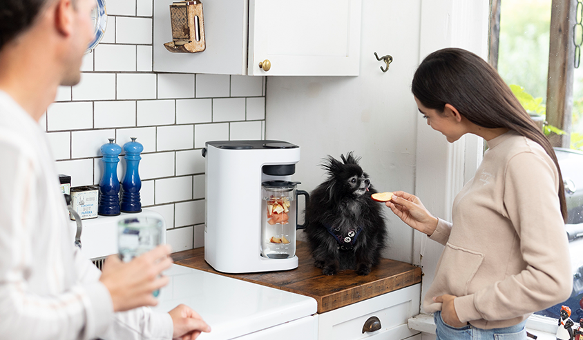 Why Should You Choose RO-Filtered Water for Your Dog's Health?