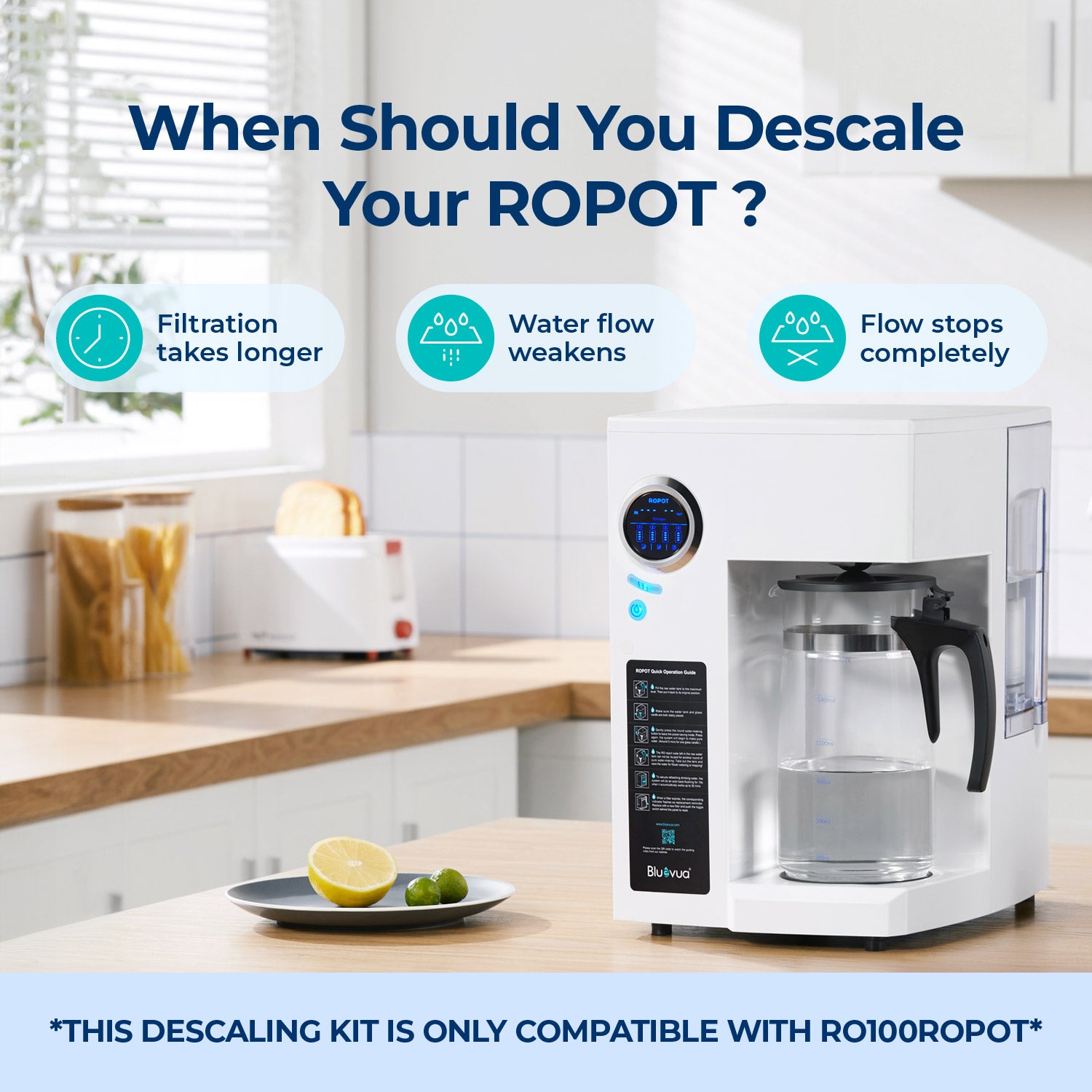 Descaling Kit for ROPOT and ROPOT(UV)