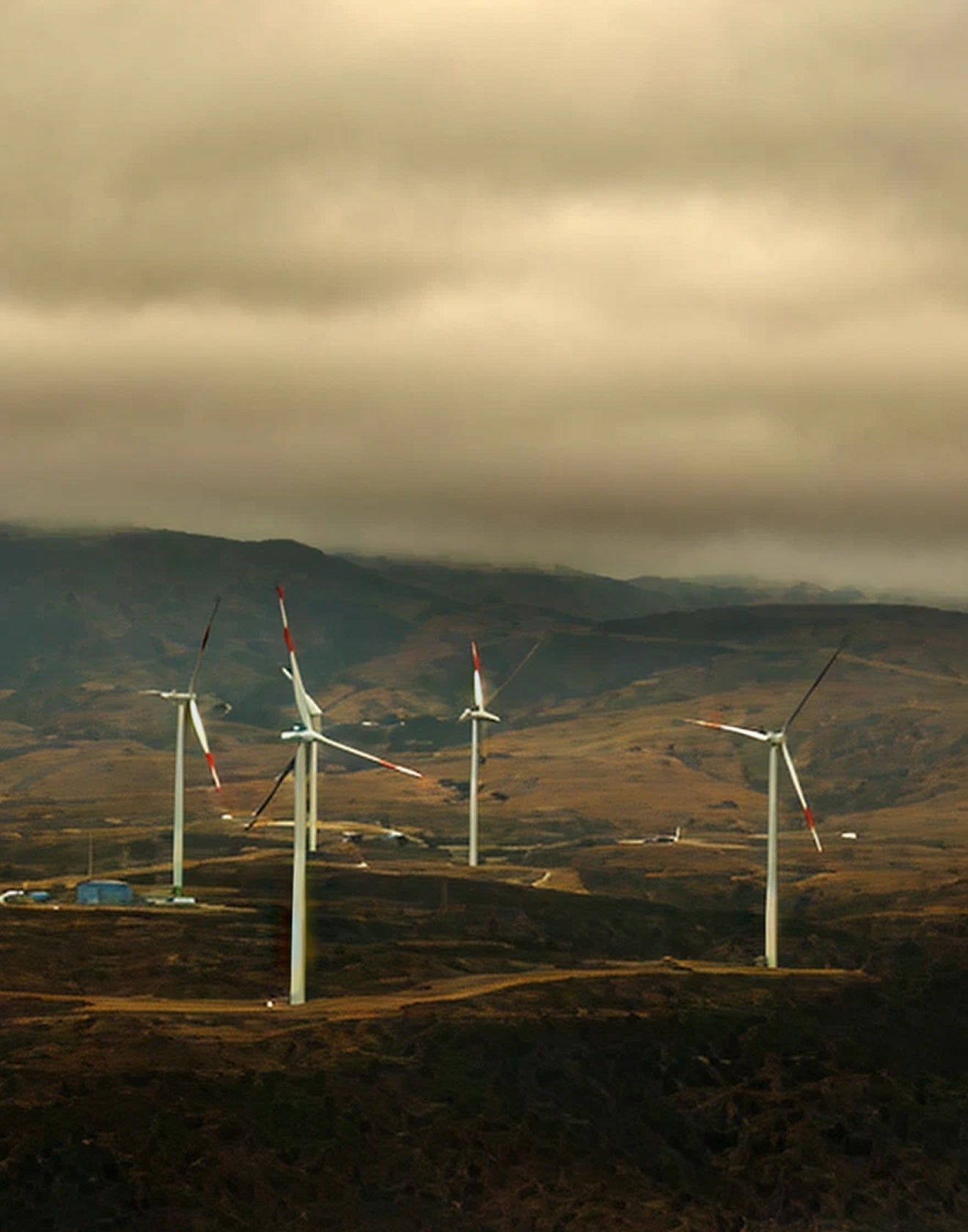 Promoting clean wind energy in Chile